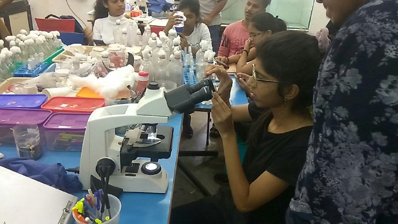 CUBE Students observing their model system in microscope