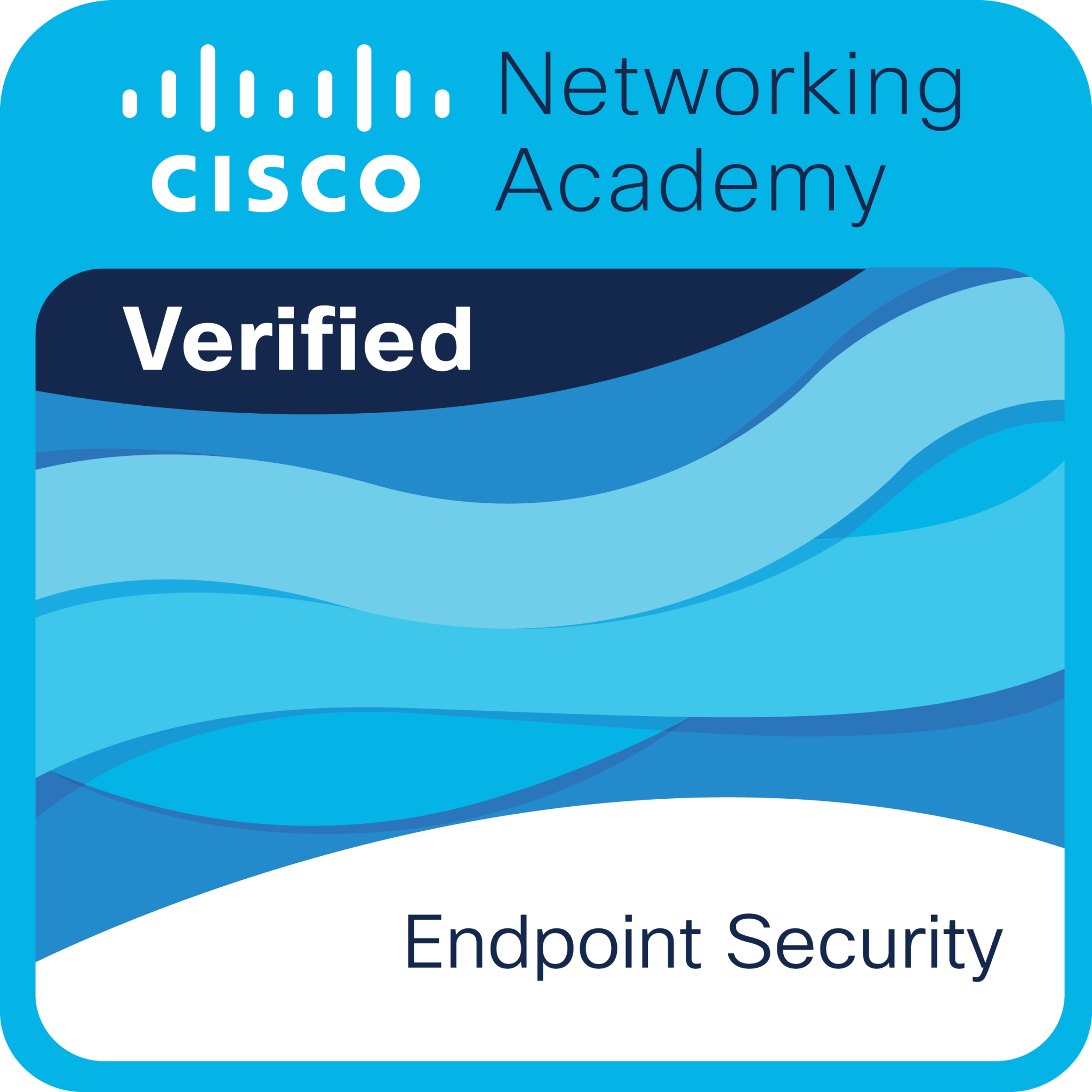 Cisco Badge