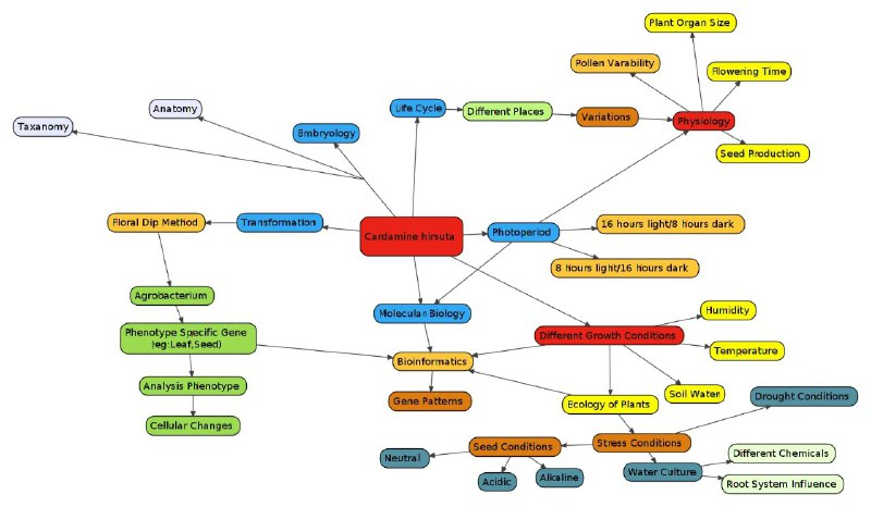 Concept map on Cardamine model by CUBE participants