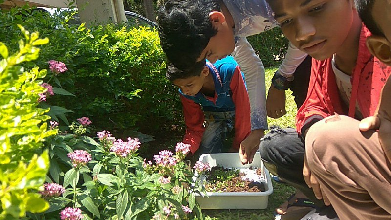 School students engaged in observing and collecting their model plants from garden
