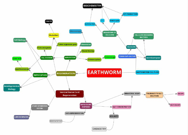 Concept map on Earthworm model by CUBE participants