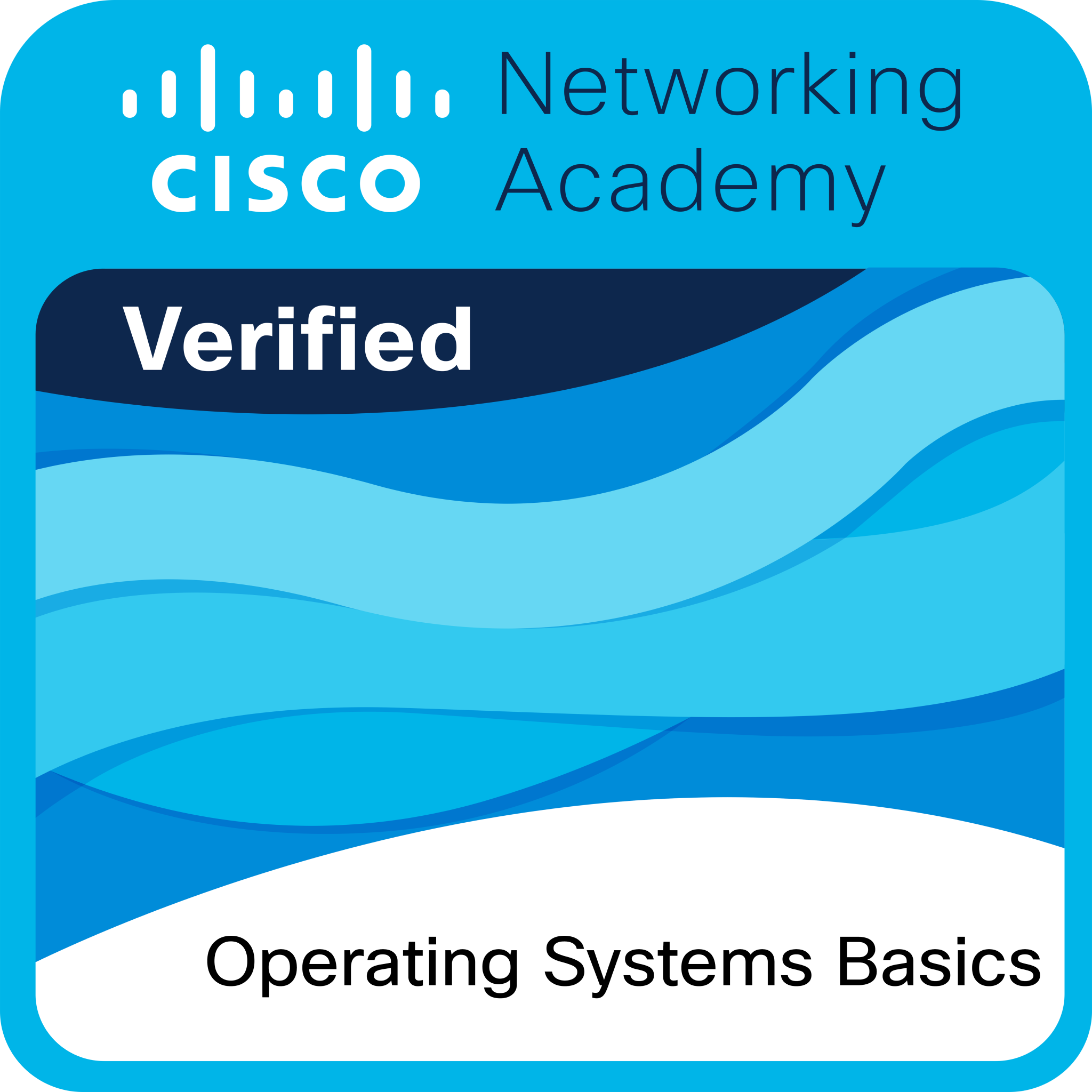 Cisco Badge