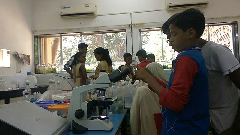 A young school student using microscope to take photos of his organisms