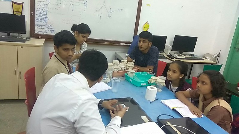 School and College students working together on various projects